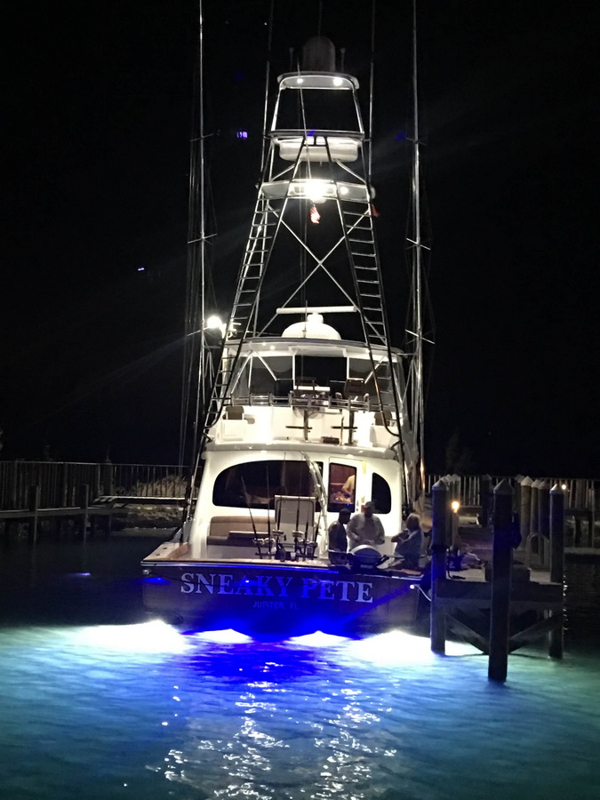 blue marlin cove sneaky pete at night